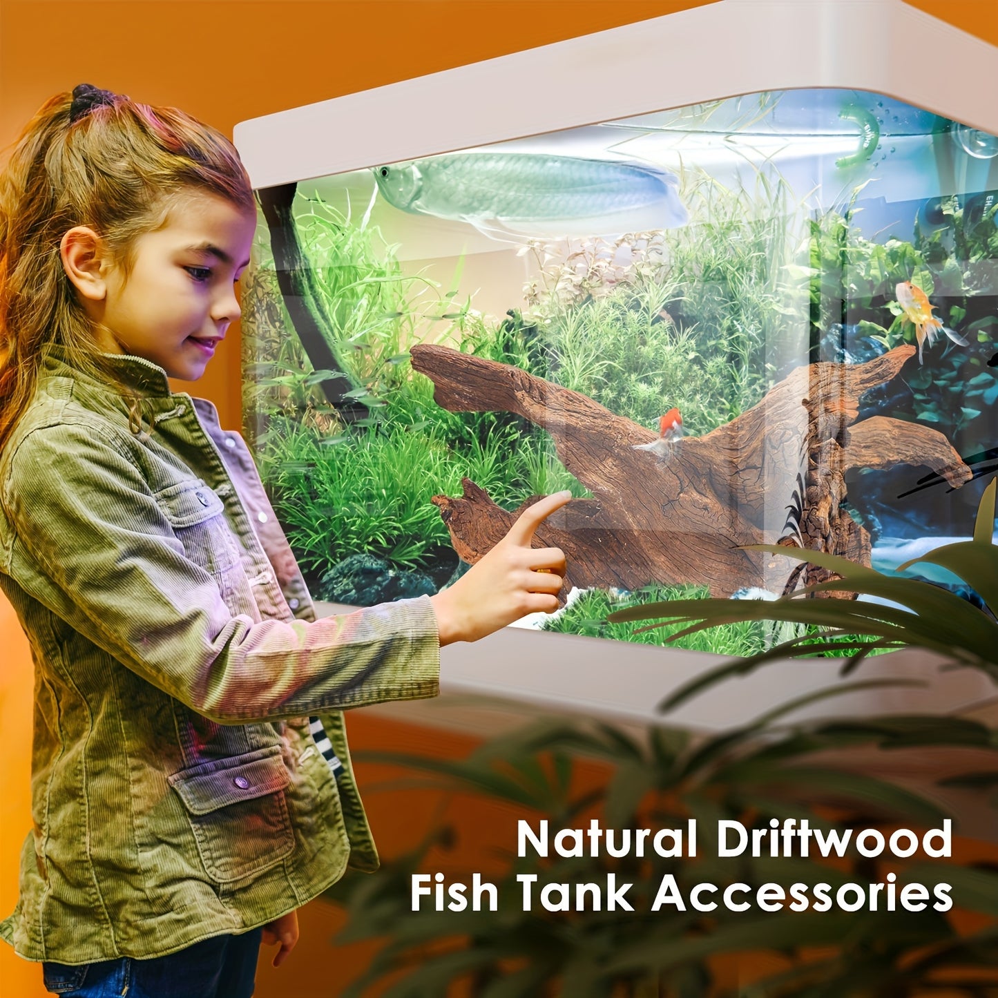 Natural Driftwood for Aquarium and Reptile Decoration