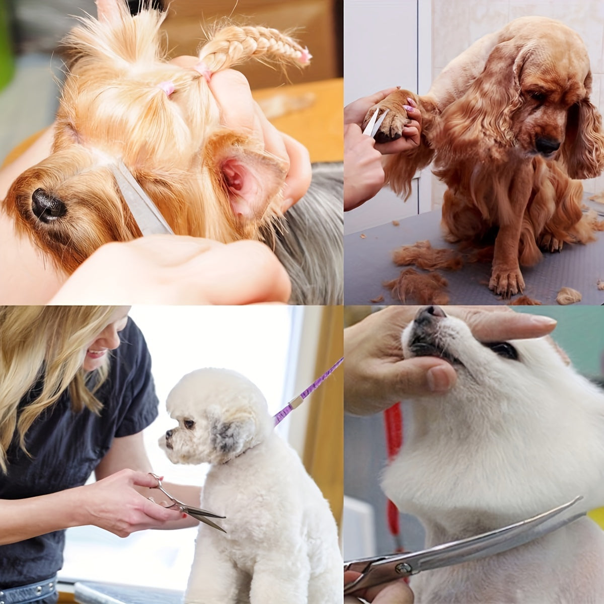 Professional Grooming Scissors Set for Dogs and Cats
