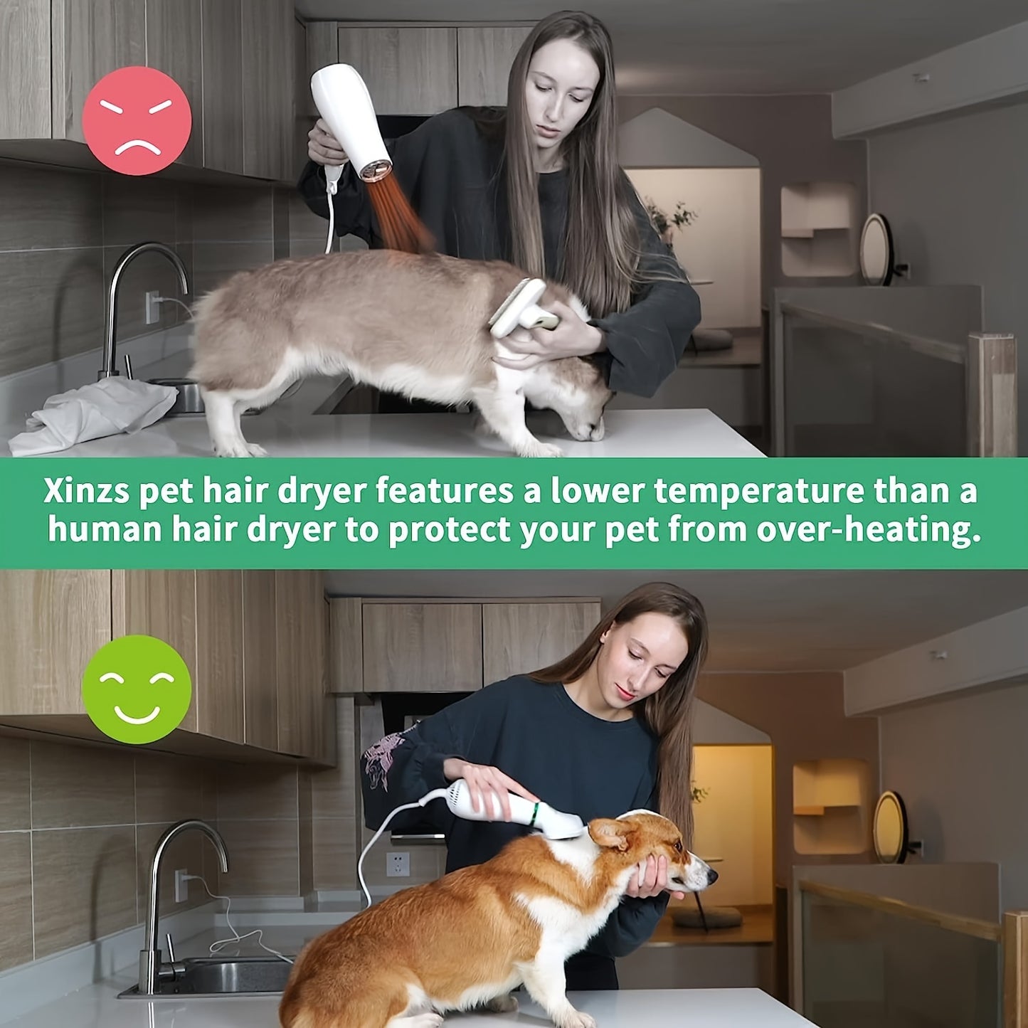 Livekey 2-in-1 Pet Grooming Dryer and Slicker Brush