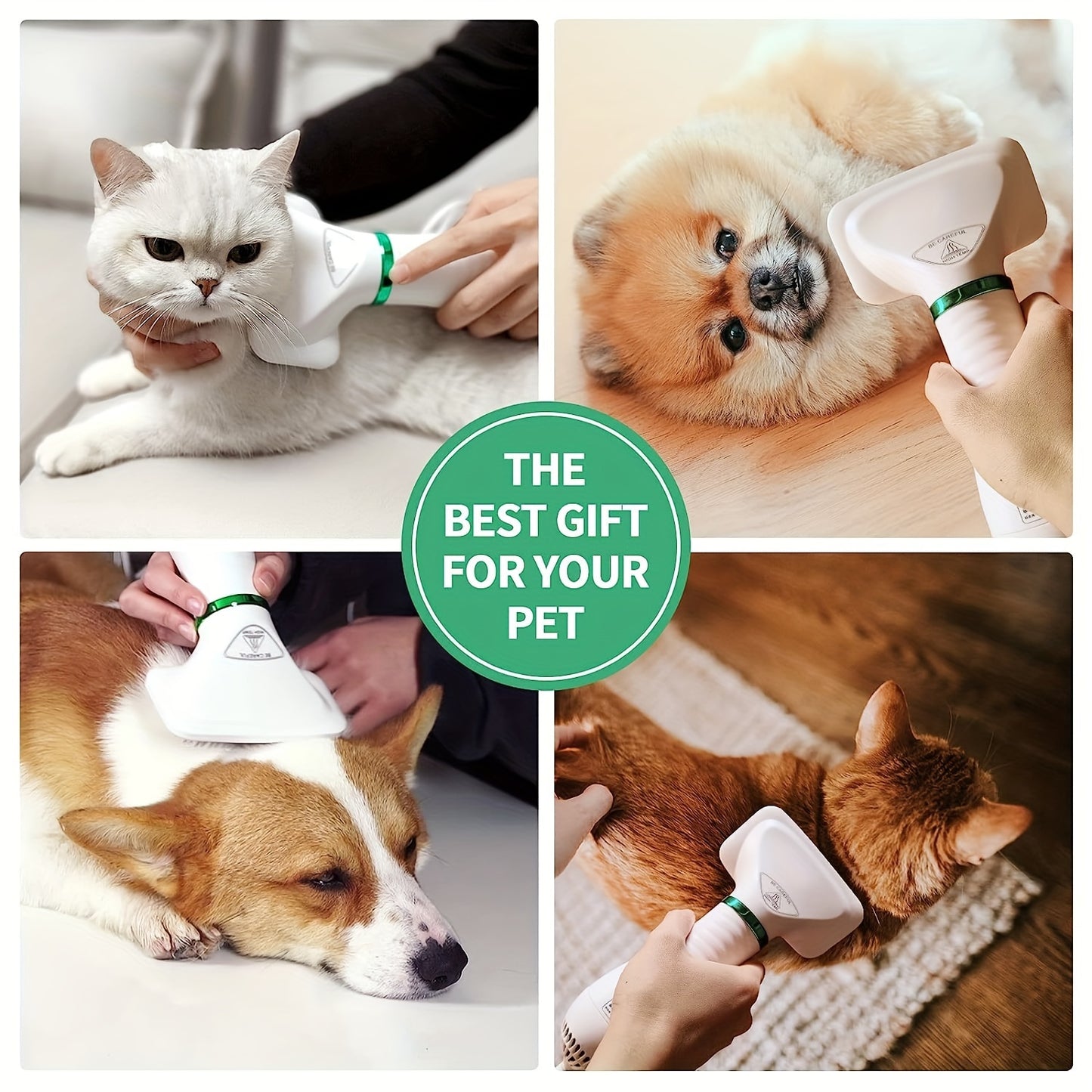 Livekey 2-in-1 Pet Grooming Dryer and Slicker Brush