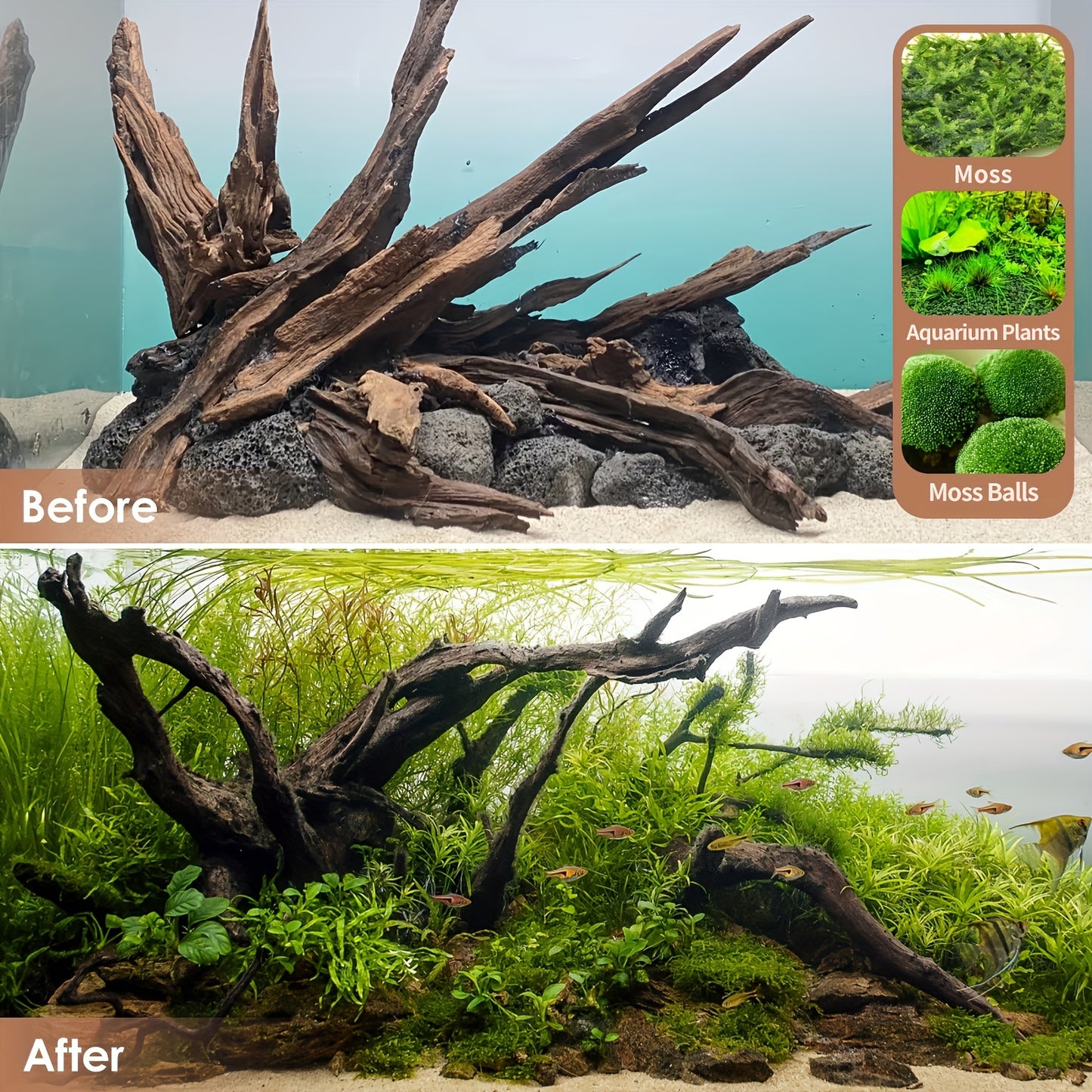 Natural Driftwood for Aquarium and Reptile Decoration