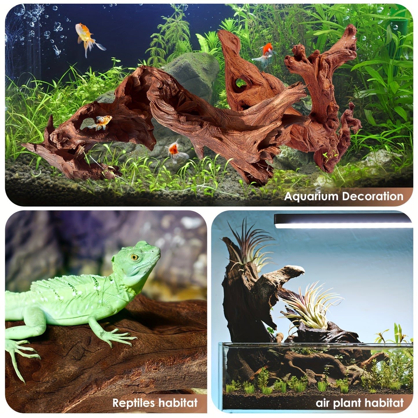 Natural Driftwood for Aquarium and Reptile Decoration
