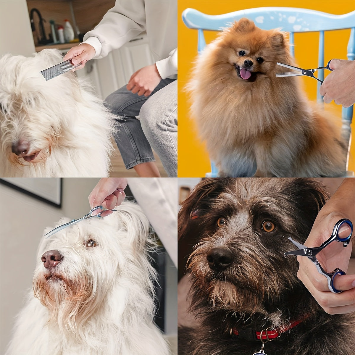 Professional Grooming Scissors Set for Dogs and Cats
