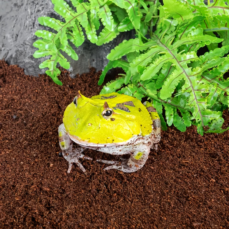 Natural Coconut Fiber Brick for Reptiles Eco-Friendly Bedding