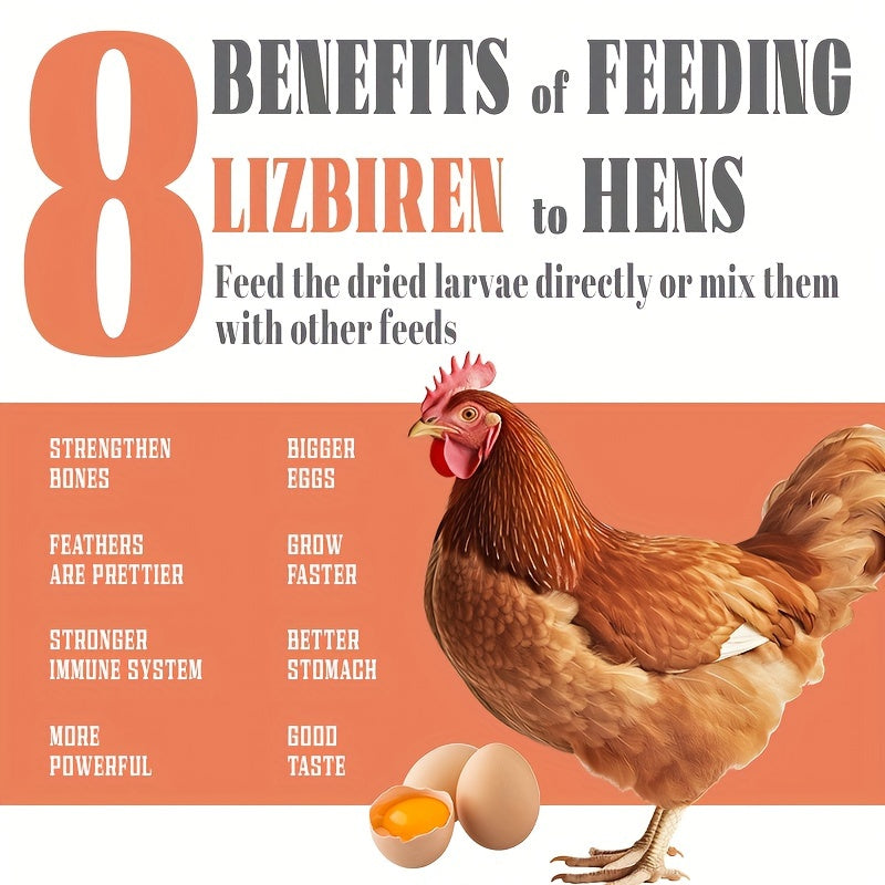High Protein Dried Mealworm Larvae For Birds and Pets