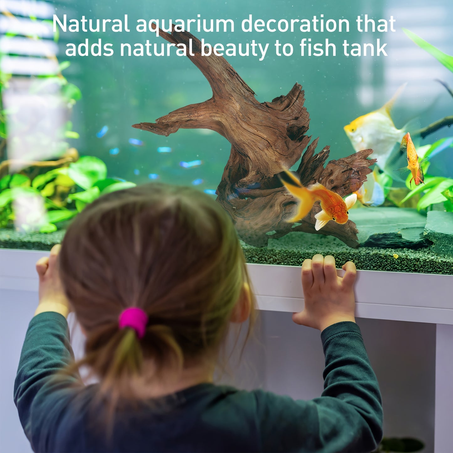 Natural Driftwood Sinking Wood for Aquarium and Reptile Decor
