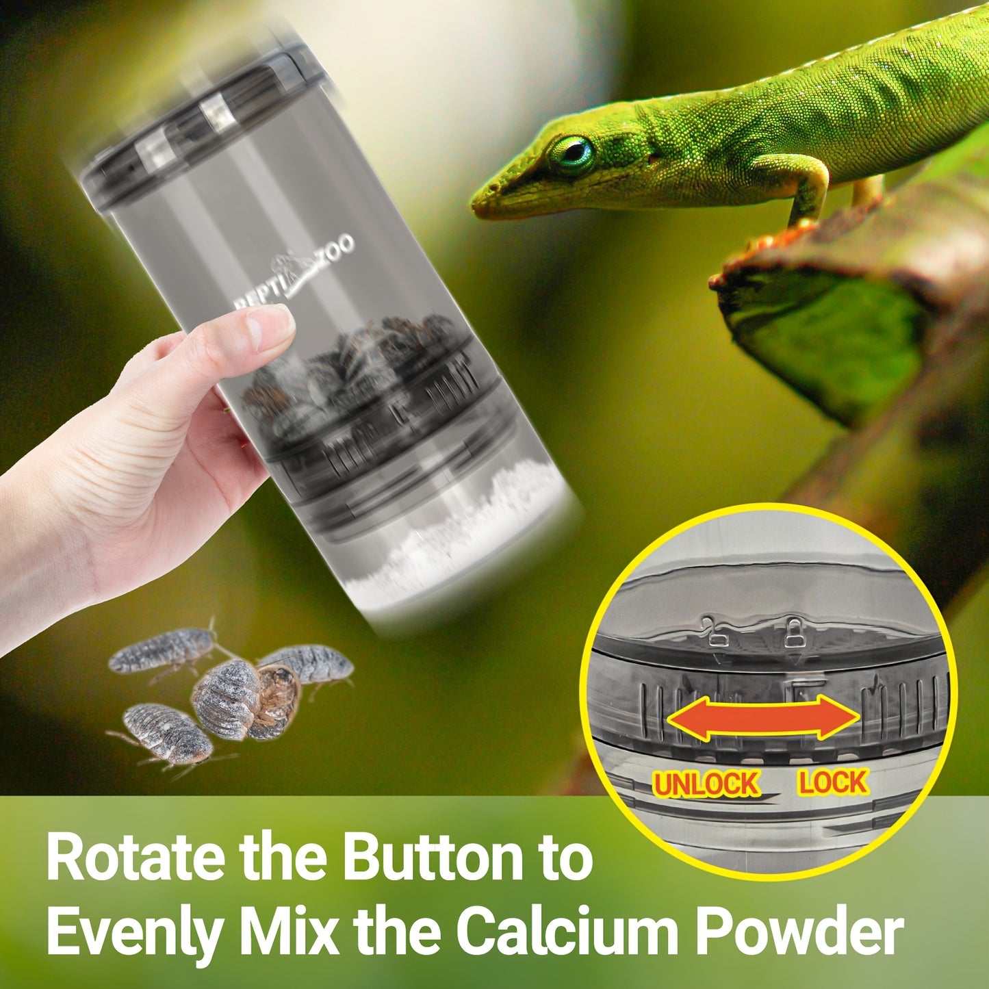 Durable Reptile Cricket Feeder Essential Terrarium Accessory