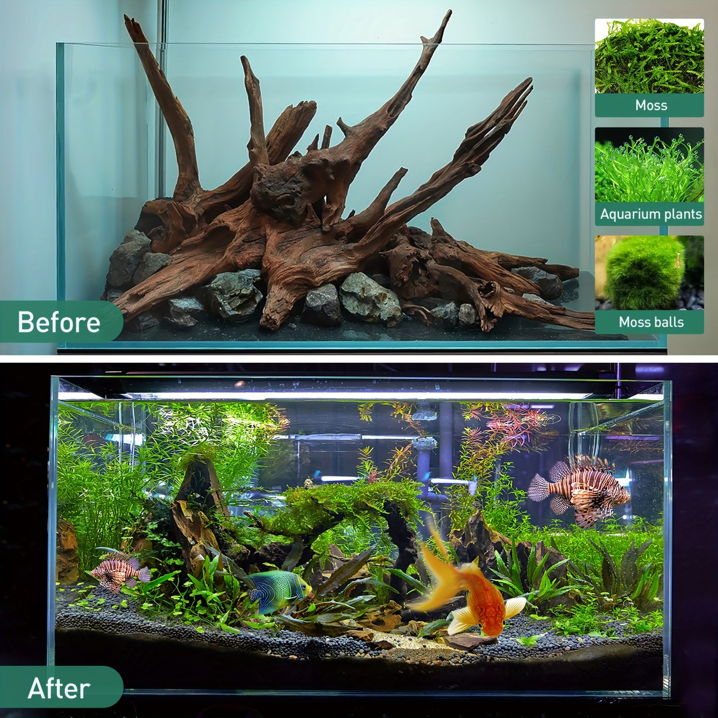 Natural Driftwood Sinking Wood for Aquarium and Reptile Decor