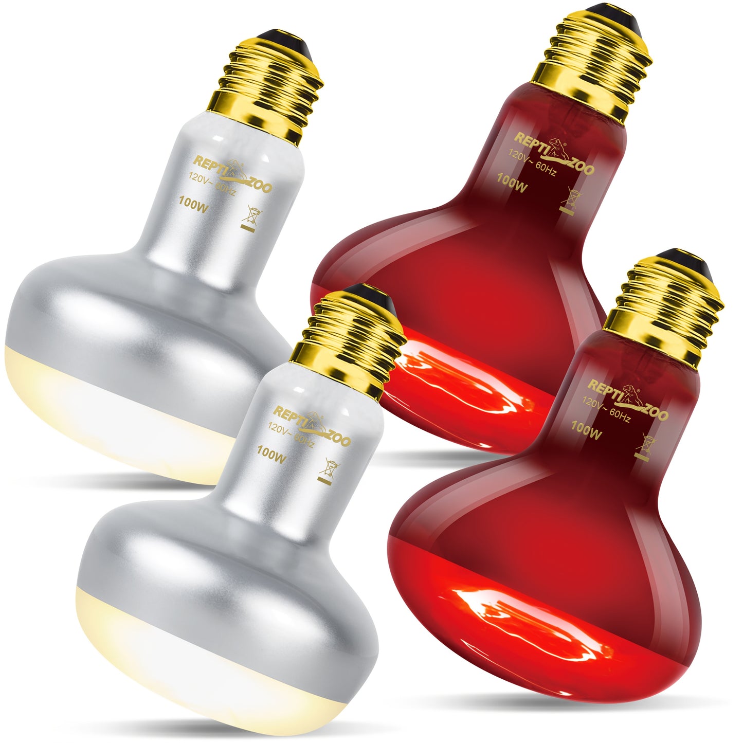 Reptile Heat Lamp Kit for Daylight and Nightlight Needs
