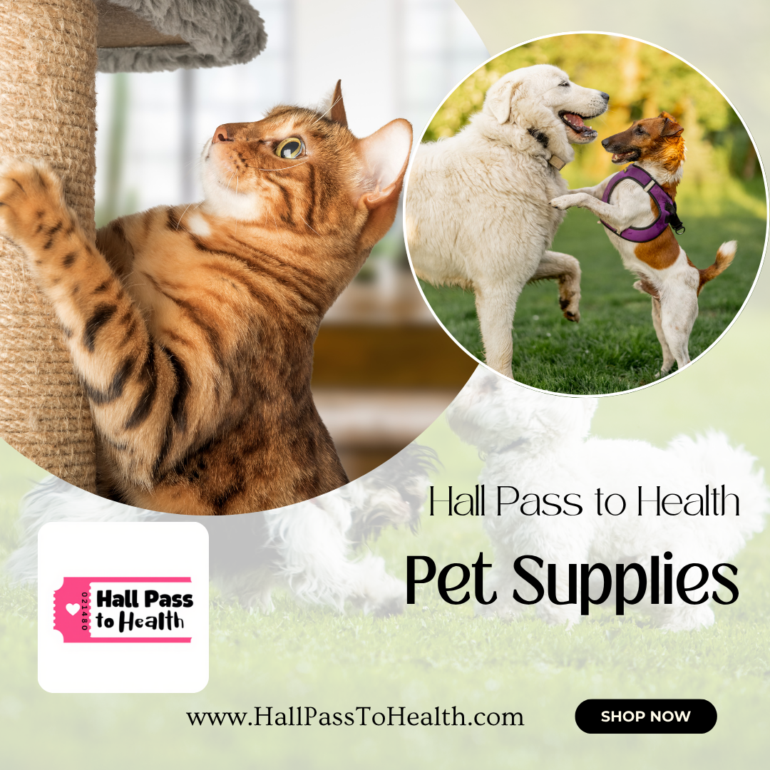 Pamper Your Pets with the Best Essentials for Every Adventure