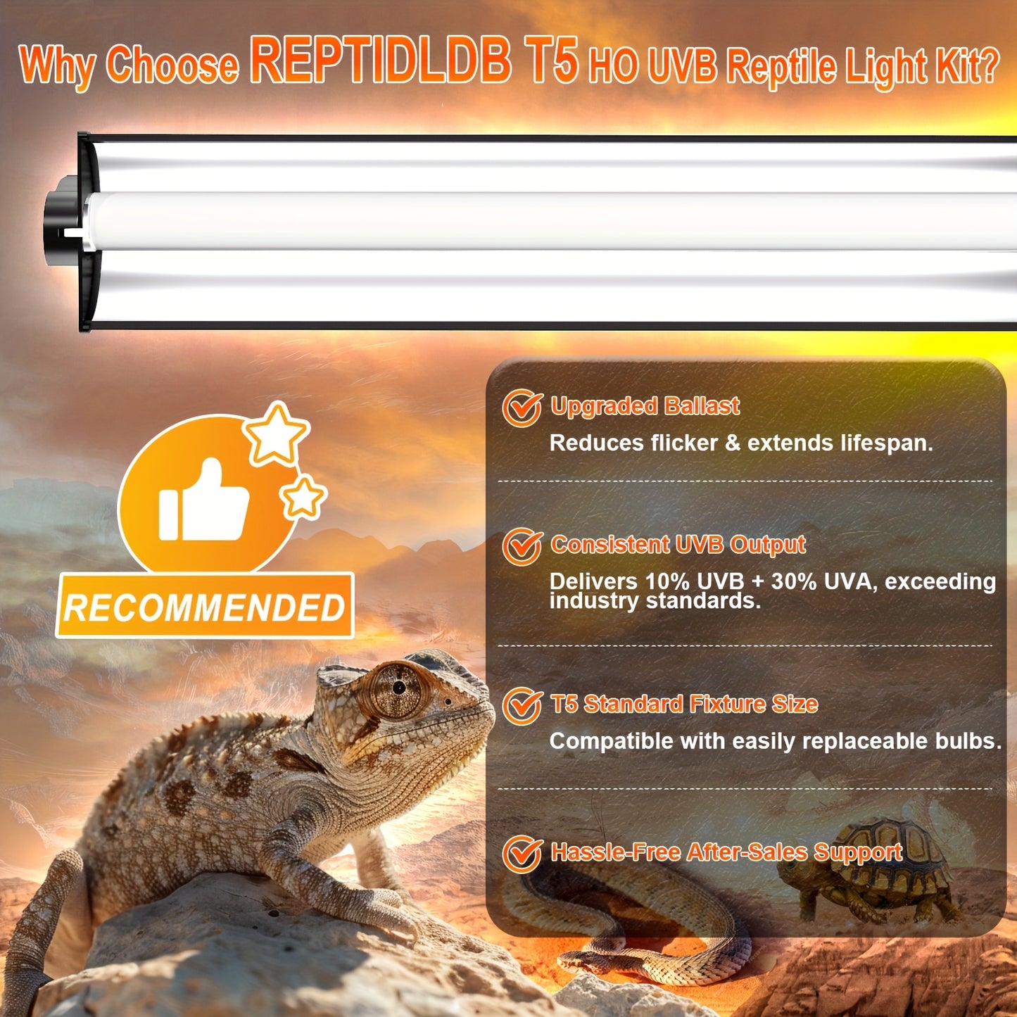 T5 UVB Reptile Light Fixture Combo Kit for Desert Terrariums
