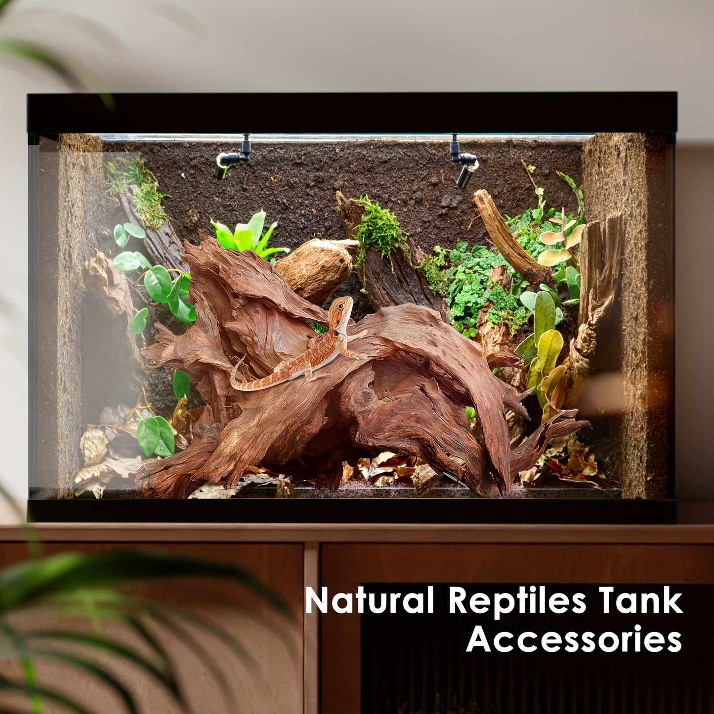 Natural Driftwood for Aquarium and Reptile Decoration