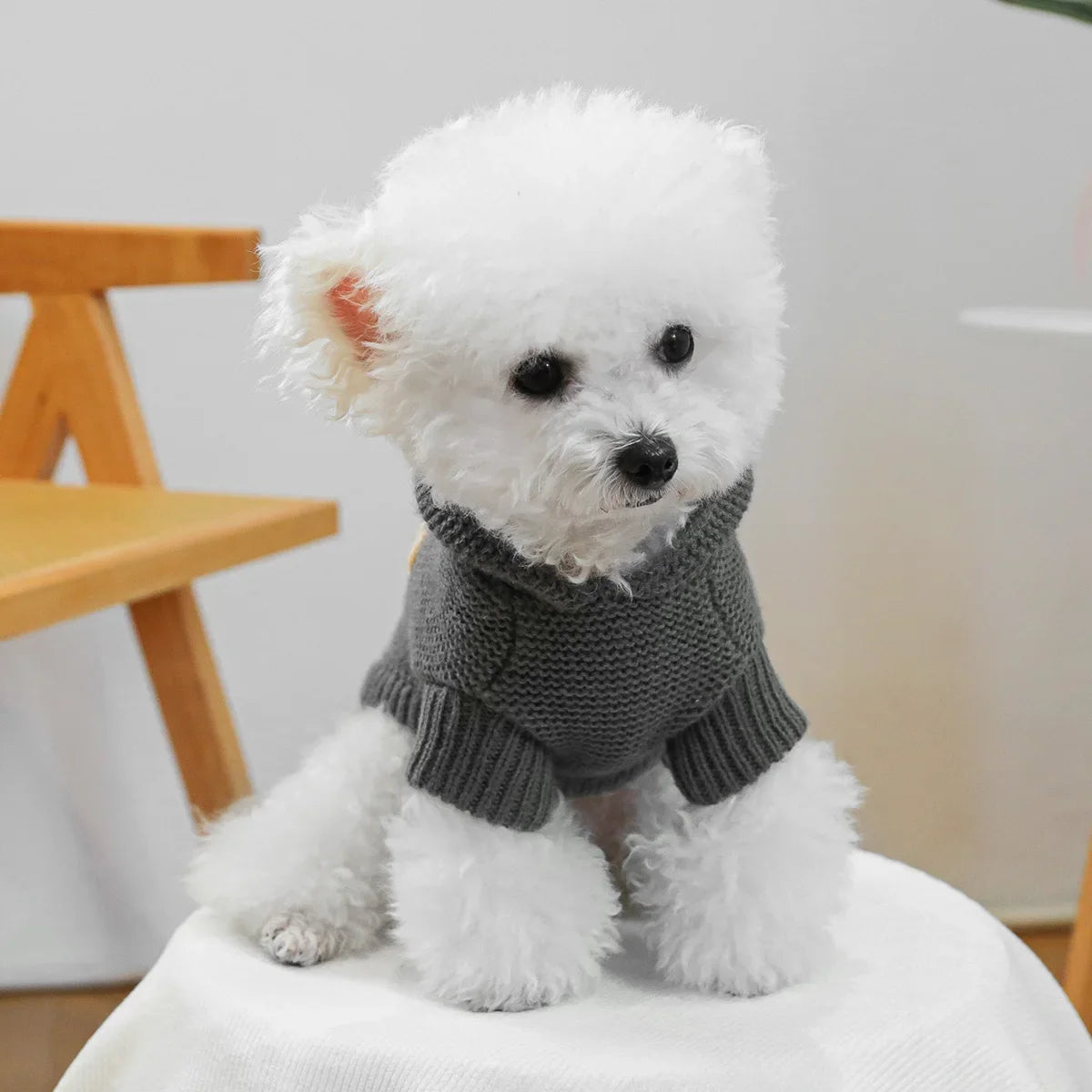 1PC Nordic Starfish Sweater - Dark Gray Pet Clothes Dog Cat Hooded Sweater Autumn Pullover Fir