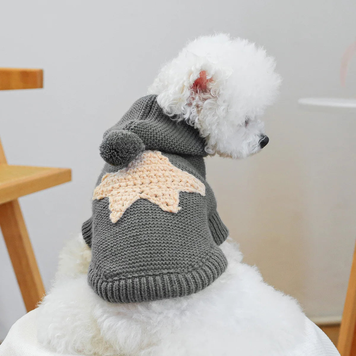 1PC Nordic Starfish Sweater - Dark Gray Pet Clothes Dog Cat Hooded Sweater Autumn Pullover Fir