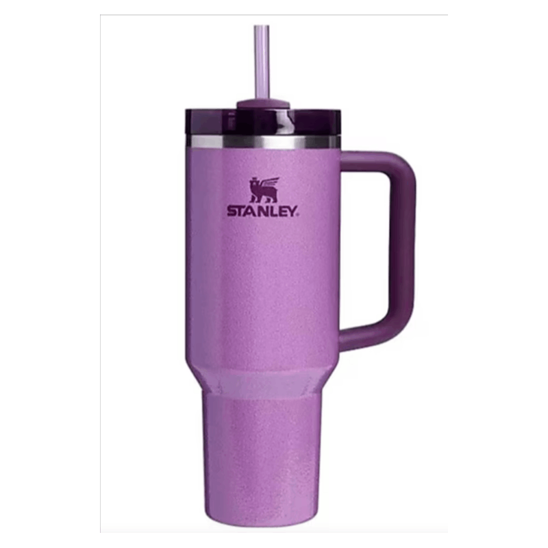 Stanley Quencher H2.0 Tumbler With Handle And Straw Travel Cup