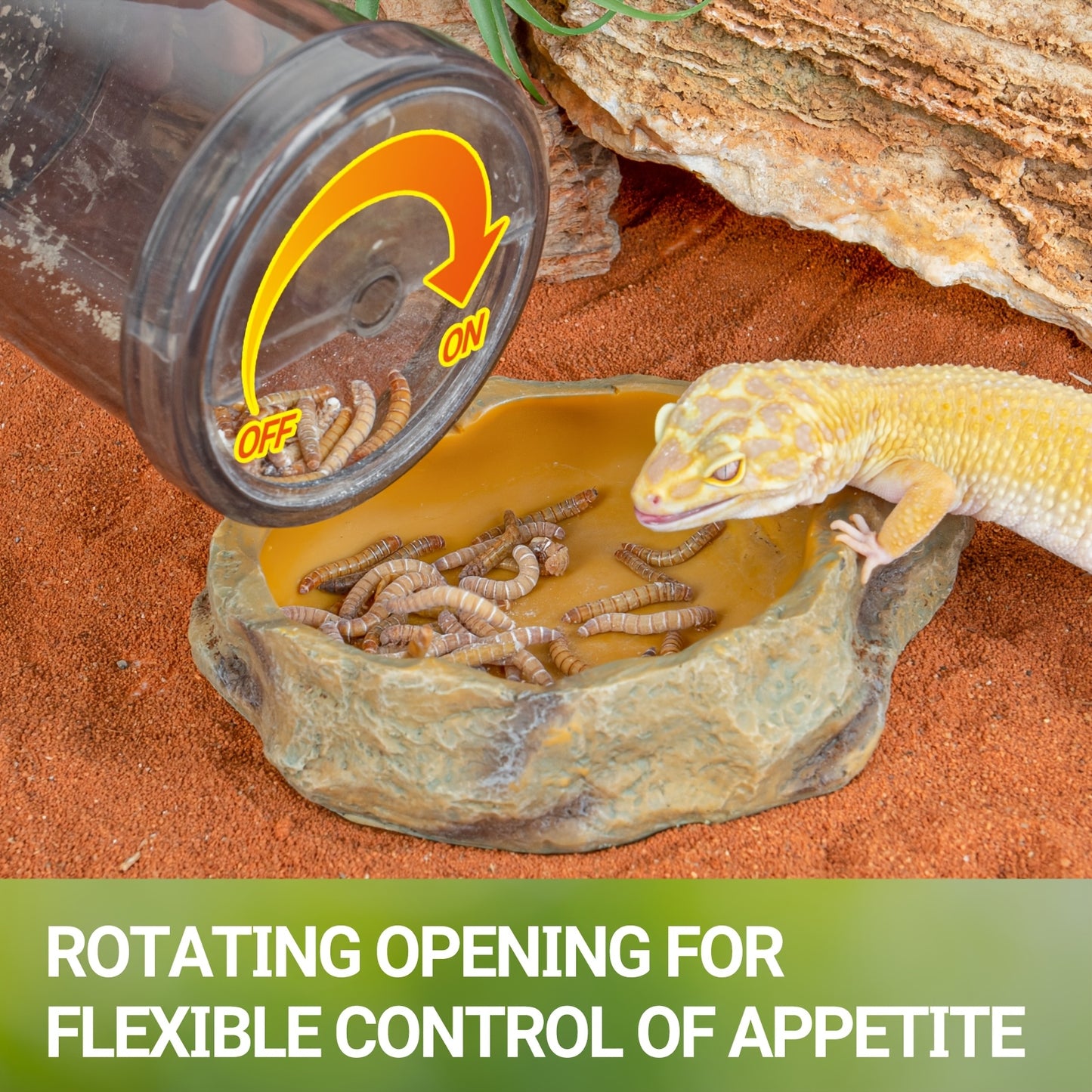 Durable Reptile Cricket Feeder Essential Terrarium Accessory