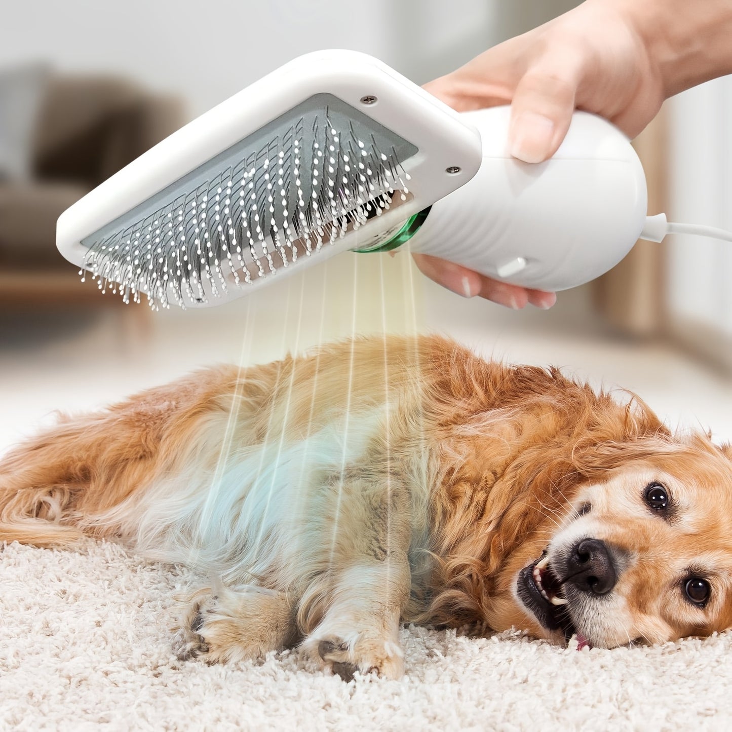 Livekey 2-in-1 Pet Grooming Dryer and Slicker Brush